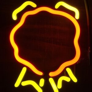 Jim Beam Whiskey Neon Sign Tube